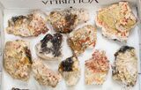 Lot: - Bladed Barite With Vanadinite - Pieces #138193-2